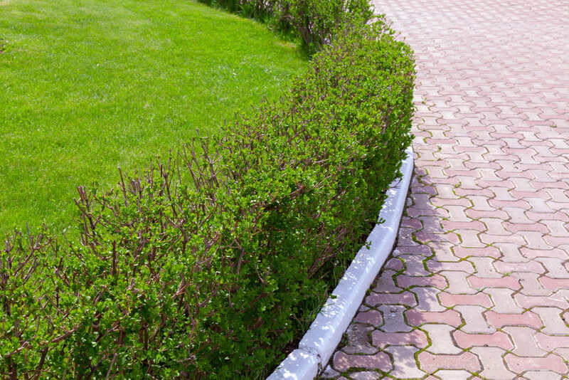 Projektowanie nowoczesnego ogrodu z obrzeżami