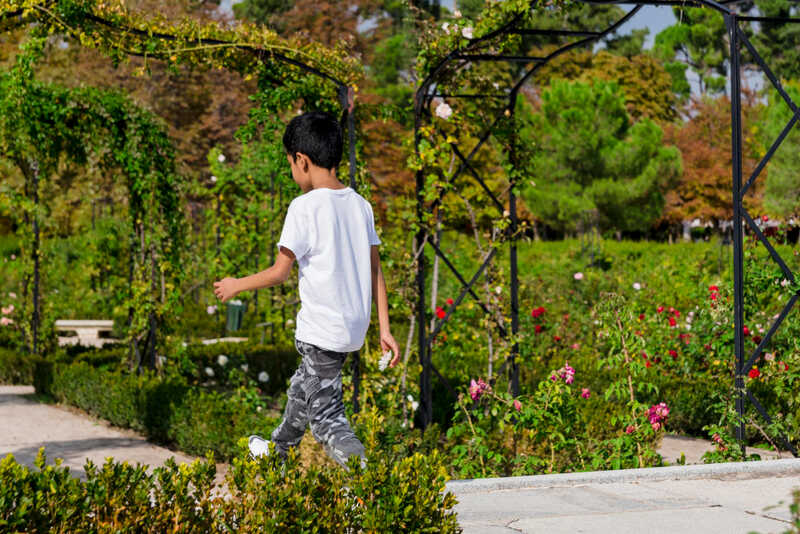 Funkcjonalność stopni w aranżacji ogrodu