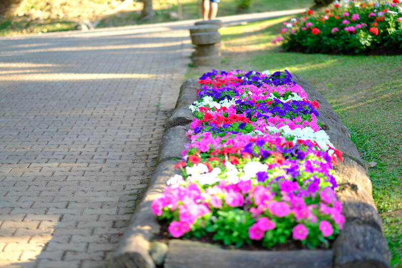 Kształt obrzeży a kompozycja rabat