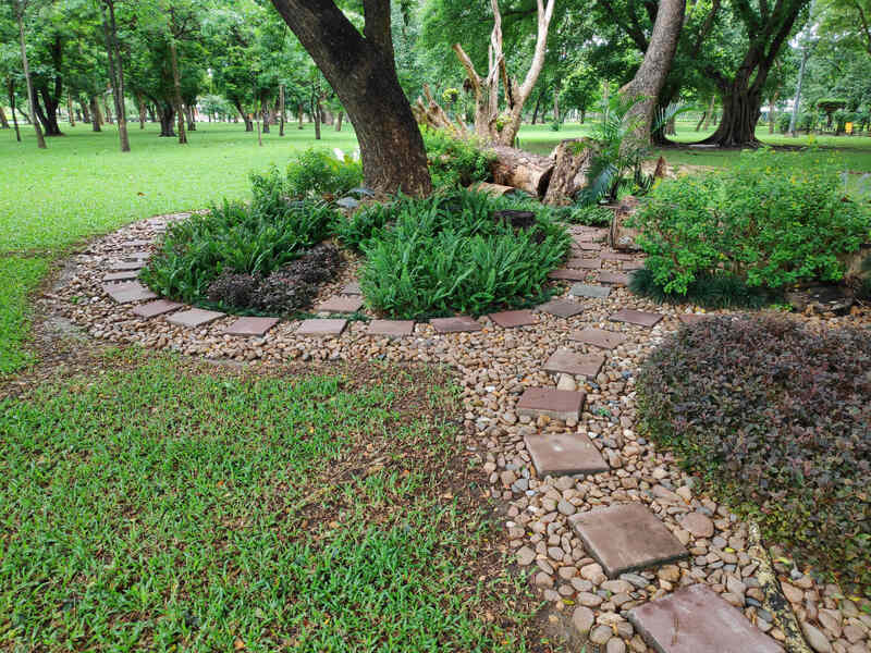 Rośliny do minimalistycznego ogrodu