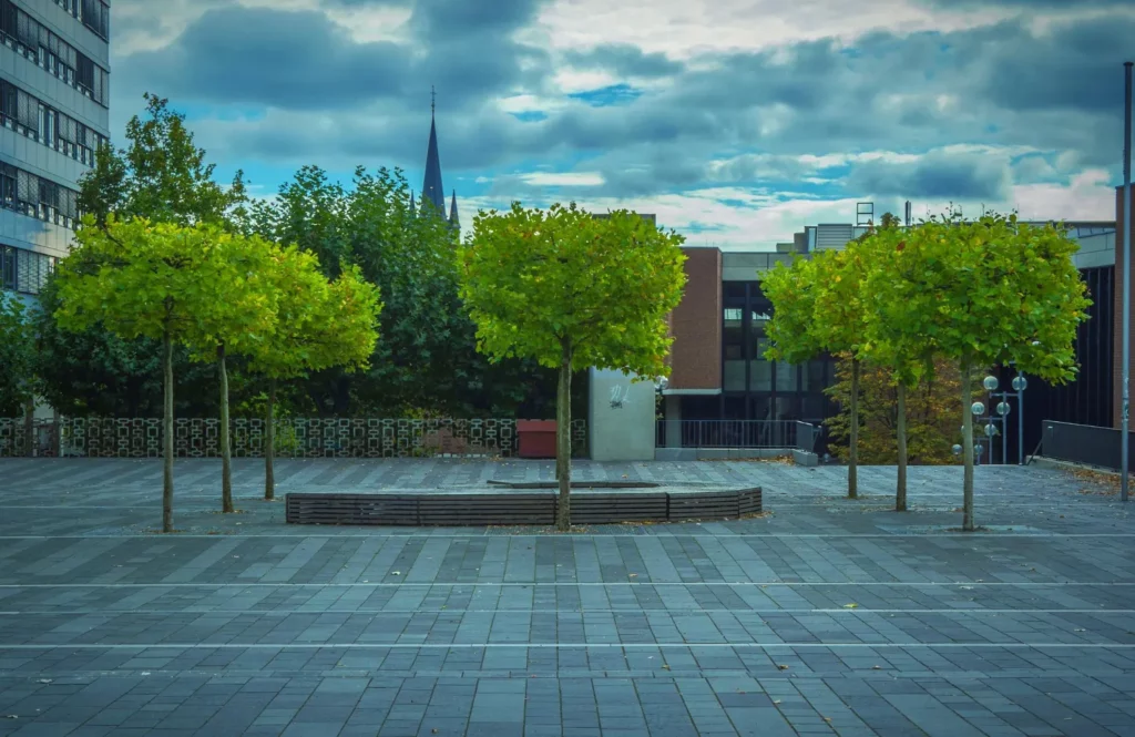 Kostka brukowa a zielone przestrzenie w mieście