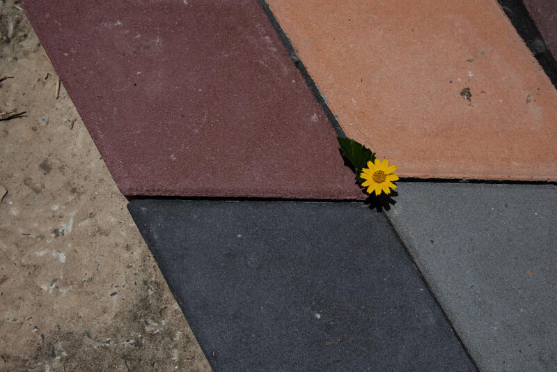 Najpopularniejsze kolory kostki brukowej