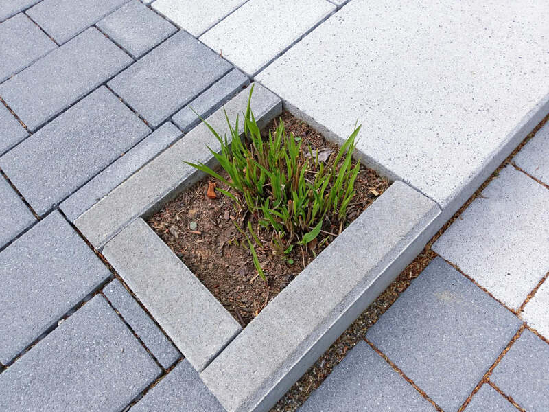 Jak usuwać zabrudzenia z palisad